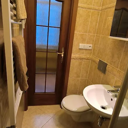 In Old Town Center Apartment Karlovy Vary